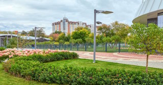 Профессиональное озеленение улиц в Екатеринбурге в октябре