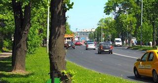 Посадка деревьев и кустарников в Екатеринбурге — стоимость от 1230 руб.